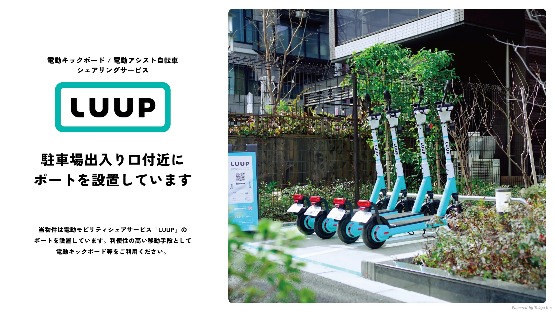 活用例1